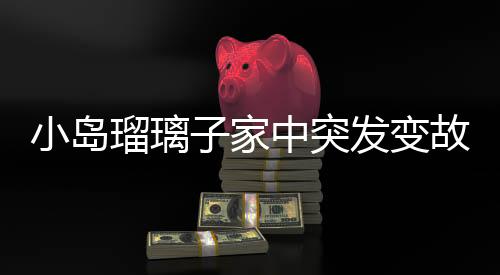 小岛瑠璃子家中突发变故，丈夫不幸离世，她受轻伤备受关注