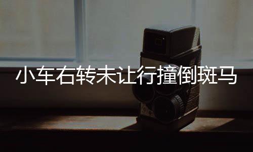 小车右转未让行撞倒斑马线上行人事件引发社会关注