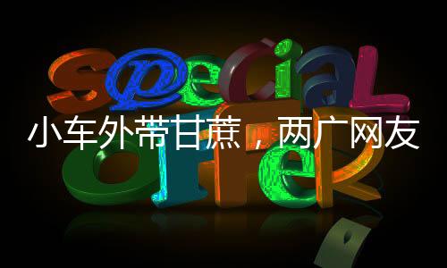 小车外带甘蔗，两广网友解读意头