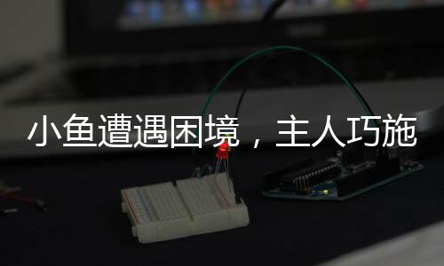 小鱼遭遇困境，主人巧施妙计——绑口罩助鱼保持平衡