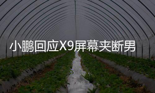 小鹏回应X9屏幕夹断男童食指事件，真相、措施与社会责任