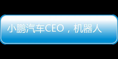 小鹏汽车CEO，机器人比汽车更难做，行业未来展望与核心技术挑战揭秘