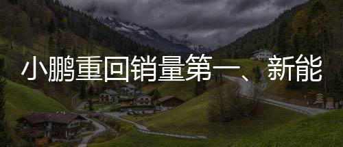 小鹏重回销量第一、新能源汽车市场的强势回归与未来展望