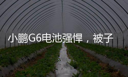 小鹏G6电池强悍，被子弹连续击中10枪仍正常运行