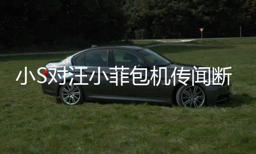 小S对汪小菲包机传闻断然否认，人在做天在看，揭开真相的背后