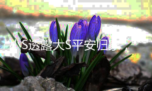 小S透露大S平安归家，姐妹情深引人关注