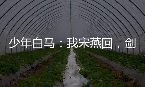 少年白马：我宋燕回，剑斩太安帝