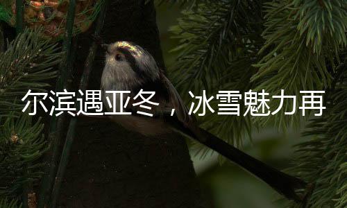 尔滨遇亚冬，冰雪魅力再升华