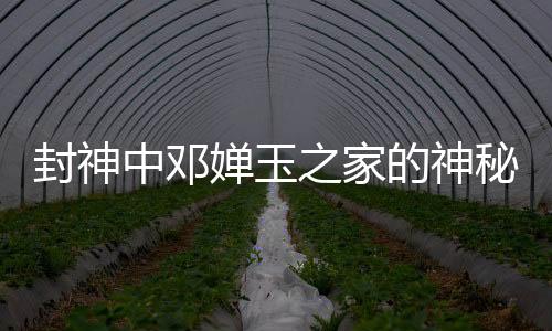 封神中邓婵玉之家的神秘面纱，那尔那茜的深度解读