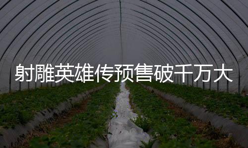 射雕英雄传预售破千万大关，引领新一轮武侠风潮