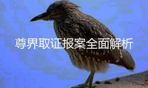 尊界取证报案全面解析