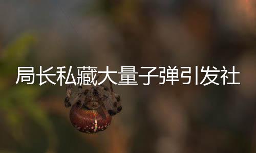局长私藏大量子弹引发社会关注