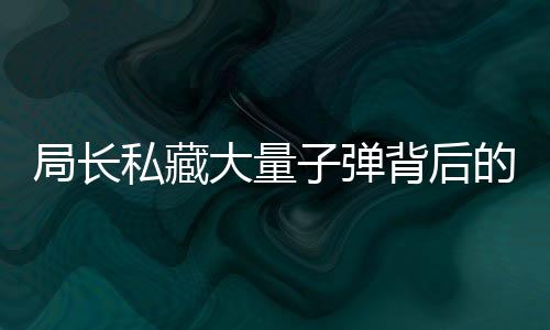 局长私藏大量子弹背后的隐秘，警示社会与个人责任的缺失（全文超过千五万字）