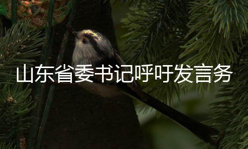 山东省委书记呼吁发言务实，摒弃形式主义——摒弃穿靴戴帽的言语