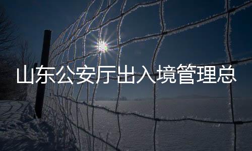 山东公安厅出入境管理总队总队长被查，引发社会关注