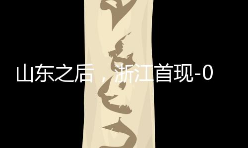 山东之后，浙江首现-0.2元负电价，电价创新低，引领能源转型新篇章