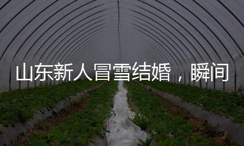 山东新人冒雪结婚，瞬间白头，见证真挚爱情