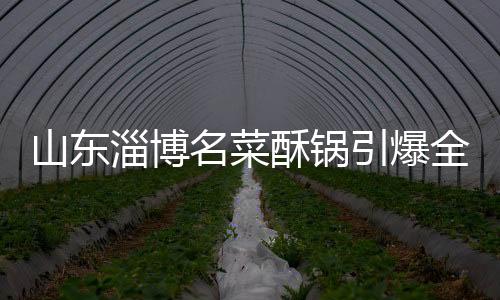 山东淄博名菜酥锅引爆全网热议