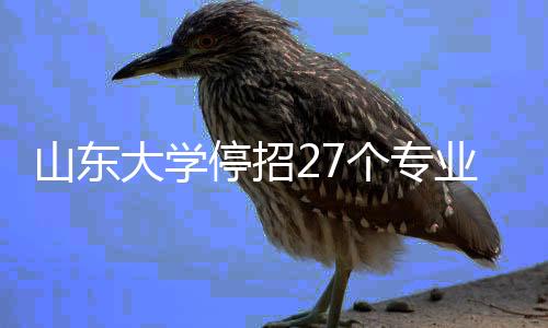 山东大学停招27个专业，全面审视与优化教育资源