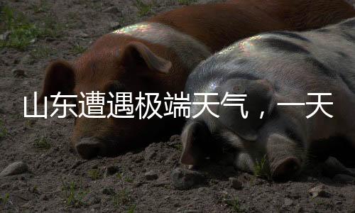 山东遭遇极端天气，一天降水4516个大明湖——背后的气候挑战与应对策略