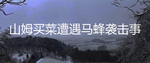 山姆买菜遭遇马蜂袭击事件