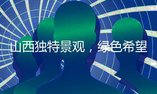 山西独特景观，绿色希望洒满大地，没有一棵树木黑着过年