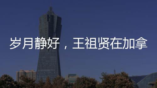 岁月静好，王祖贤在加拿大开启艾灸养生之旅