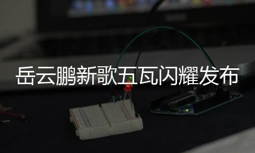 岳云鹏新歌五瓦闪耀发布，引发热议