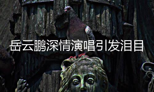 岳云鹏深情演唱引发泪目，舞台魅力令人动容