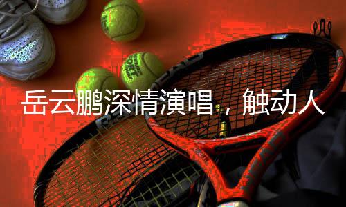 岳云鹏深情演唱，触动人心，一曲打动众人心弦的歌