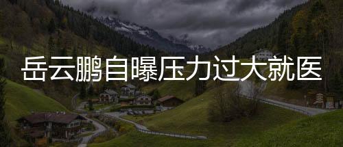 岳云鹏自曝压力过大就医，压力的魔鬼与自我救赎的艺术