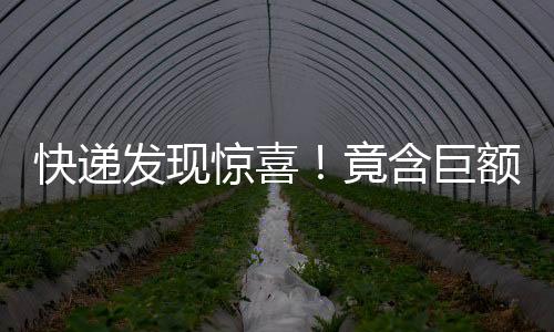 快递发现惊喜！竟含巨额购物卡引警觉报案揭秘追踪过程（附办案细节）