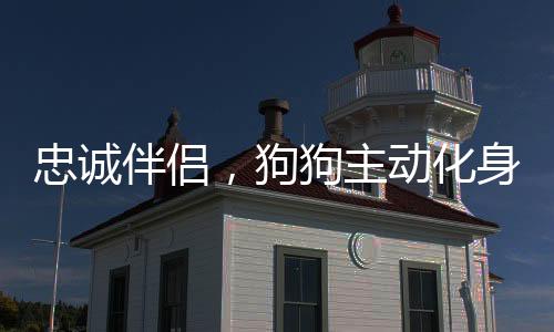 忠诚伴侣，狗狗主动化身暖心小脚垫