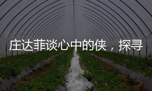 庄达菲谈心中的侠，探寻真正的侠义之道