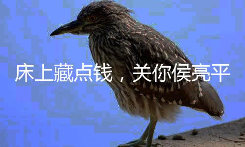 床上藏点钱，关你侯亮平什么事？
