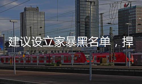 建议设立家暴黑名单，捍卫家庭和谐，共建美好未来社会