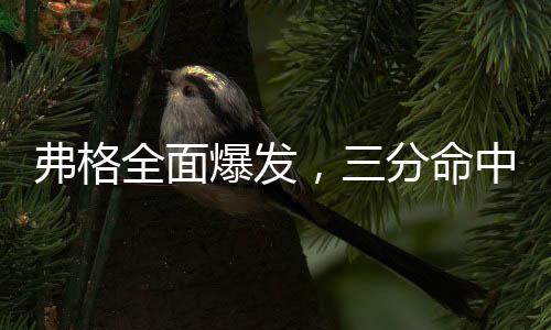 弗格全面爆发，三分命中艰难夺魁，独得41分创赛场辉煌