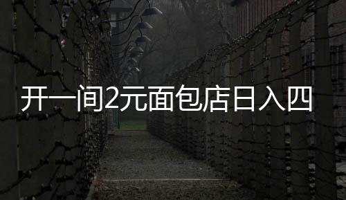 开一间2元面包店日入四千的成功秘诀揭秘，揭秘小型面包店背后的故事与成功之道