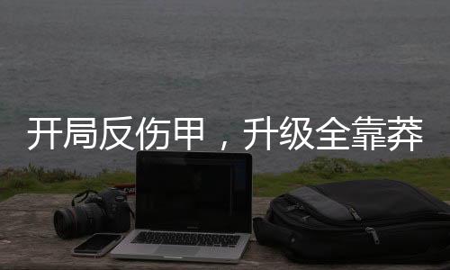 开局反伤甲，升级全靠莽！