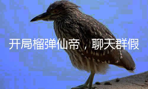 开局榴弹仙帝，聊天群假装荒天帝