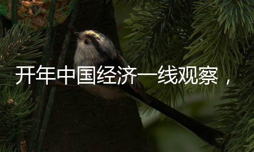 开年中国经济一线观察，稳健起步，活力涌现