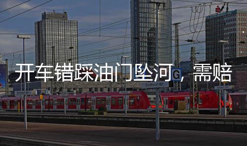 开车错踩油门坠河，需赔偿护栏损失——一起交通事故引发的深思