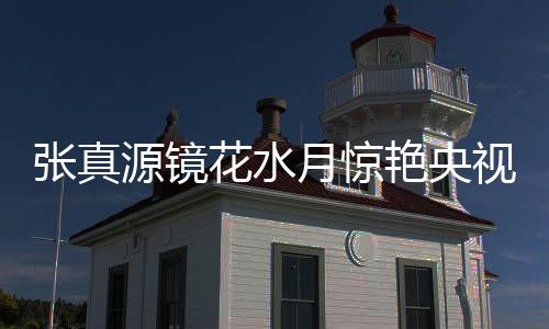 张真源镜花水月惊艳央视舞台，展现艺术魅力