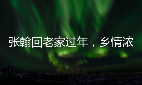 张翰回老家过年，乡情浓厚，归心似箭