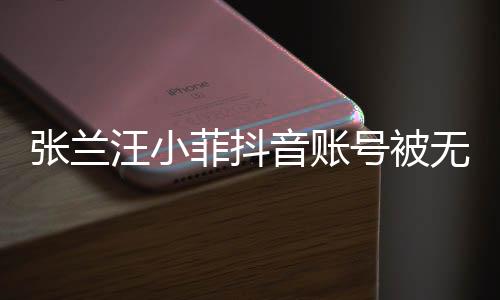 张兰汪小菲抖音账号被无限期封禁，引发广泛关注和热议