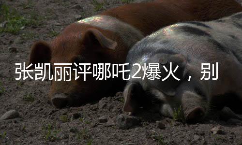 张凯丽评哪吒2爆火，别一哄而上