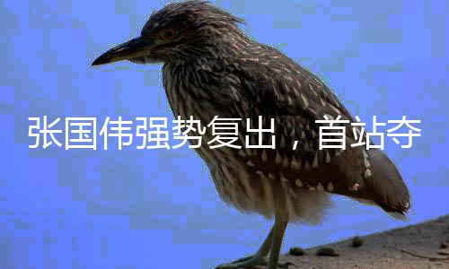 张国伟强势复出，首站夺冠，再创辉煌