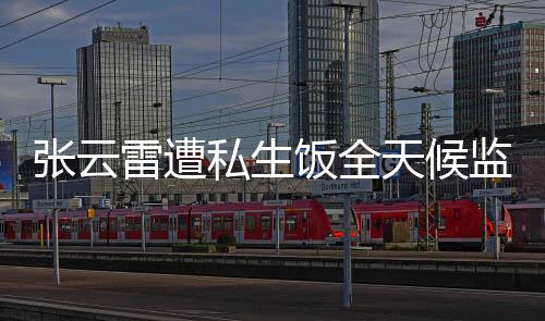 张云雷遭私生饭全天候监控，事件揭秘与应对之道