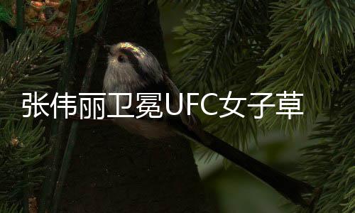 张伟丽卫冕UFC女子草量级冠军，荣耀背后的坚持与努力