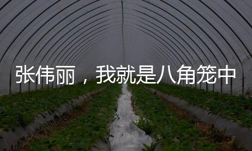 张伟丽，我就是八角笼中的哪吒